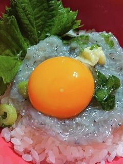 生しらす丼-レシピのメイン写真