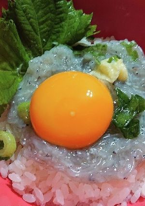 生しらす丼-レシピのメイン写真