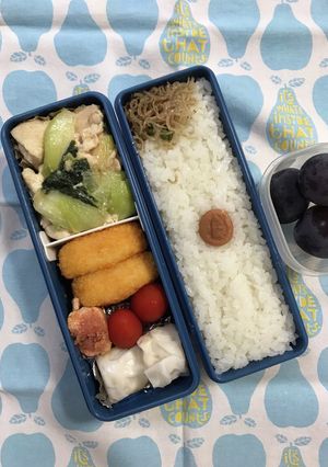 20210921マイ弁当-レシピのメイン写真