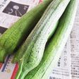 ヘチマ(ナーベラー)保存方法