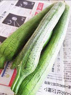ヘチマ(ナーベラー)保存方法-レシピのメイン写真