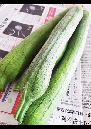 ヘチマ(ナーベラー)保存方法-レシピのメイン写真