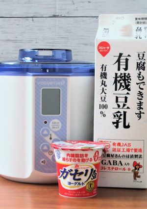 ガゼリ菌SP株ヨーグルトで豆乳ヨーグルト-レシピのメイン写真