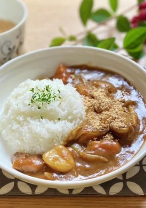 カレーライスの仕上げに☆スパイス&きな粉-レシピのメイン写真