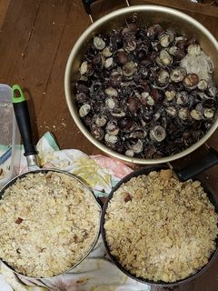 とちの実奮闘記-レシピのメイン写真