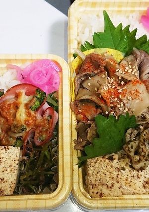 【夫婦弁当128】肉豆腐と卵とハムカップ-レシピのメイン写真