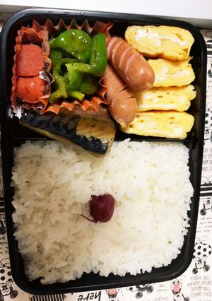 旦那様の健康弁当-レシピのメイン写真