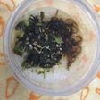 味の素KK おかゆ 白がゆ で簡単お弁当