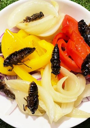 蝉と新鮮野菜のマリネ　アンシュルプリーズ-レシピのメイン写真