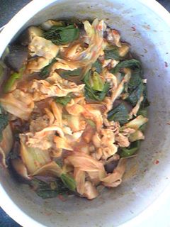 ねぎと豚肉の豆板醤煮-レシピのメイン写真