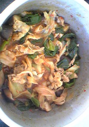 ねぎと豚肉の豆板醤煮-レシピのメイン写真