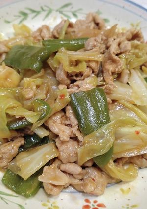 赤味噌でうちの回鍋肉-レシピのメイン写真