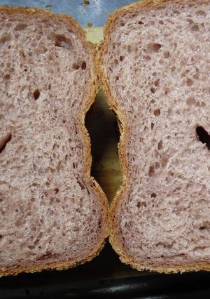 アロニア果汁入り食パン-レシピのメイン写真