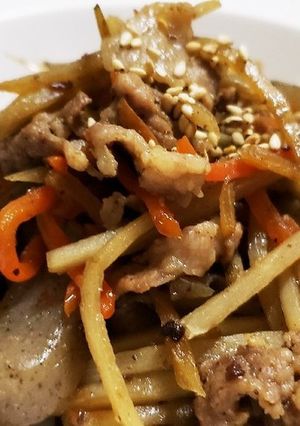お年寄り絶賛シリーズ☆豚肉入り金ビラ☆-レシピのメイン写真