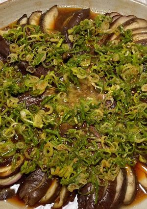 蒸しなすの香味ネギソースがけ-レシピのメイン写真