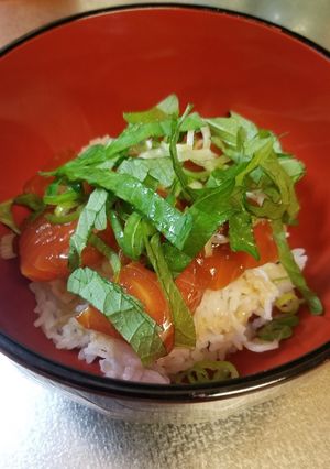胡麻油がほんのり香るサーモンの漬け丼-レシピのメイン写真