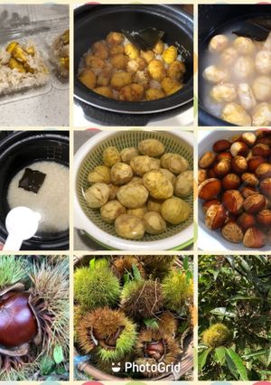 栗ご飯（2021）-レシピのメイン写真
