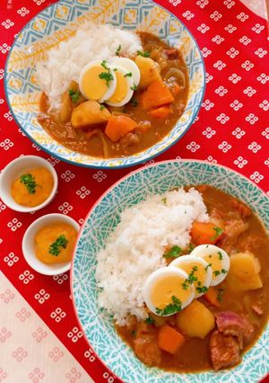 牛すじ肉の欧風カレー-レシピのメイン写真