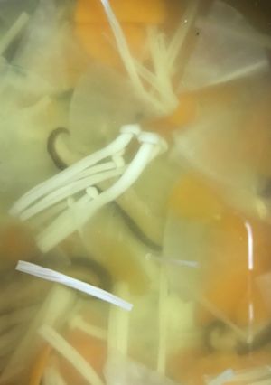 ズボラ♪ 具沢山しいたけスープ-レシピのメイン写真