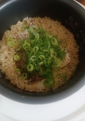 鯛の炊き込みご飯-レシピのメイン写真