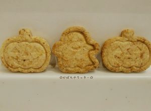 かぼちゃパウダーで☆かぼちゃクッキー-レシピのメイン写真