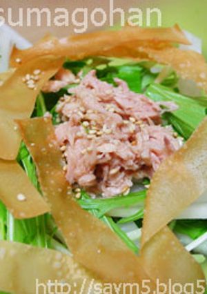 水菜と大根のパリパリツナサラダ-レシピのメイン写真