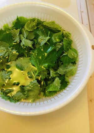 しそ大量消費！簡単しそとワカメのふりかけ-レシピのメイン写真