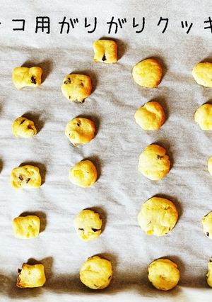 ワンコ用 ♡ サツマ芋のガリガリクッキー-レシピのメイン写真