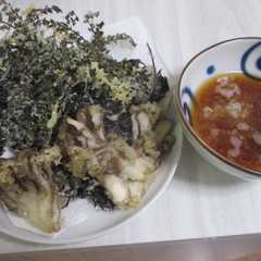 รูปของ 赤紫蘇の実の天麩羅^^