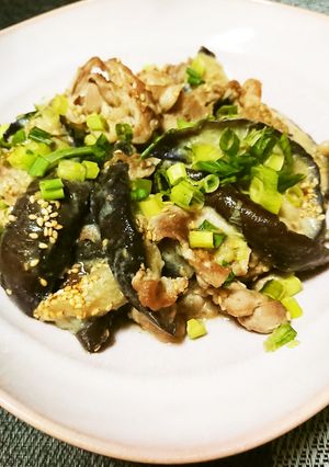 豚バラ茄子-レシピのメイン写真
