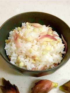 10分!だし要らず♡鮮やかミョウガごはん-レシピのメイン写真
