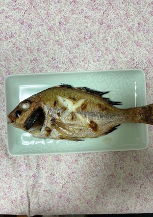 #鯛の#尾頭つきコンロの#グリル焼き-レシピのメイン写真
