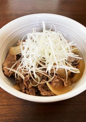 豚丼(白髪ネギトッピング)-レシピのメイン写真