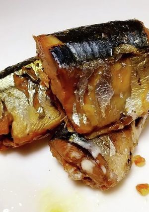おばぁちゃんのさんま煮(圧力鍋)覚書-レシピのメイン写真