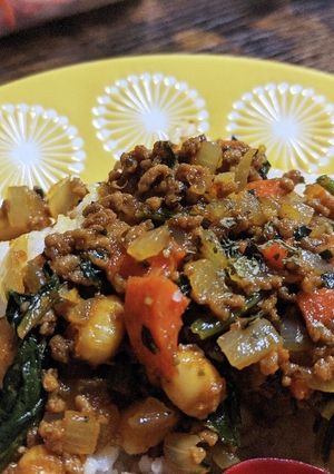 ほうれん草と大豆のちょい甘キーマカレー-レシピのメイン写真