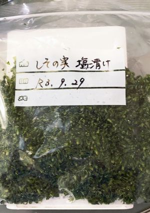 簡単保存✨風味さわやか　シソの実の塩漬け-レシピのメイン写真