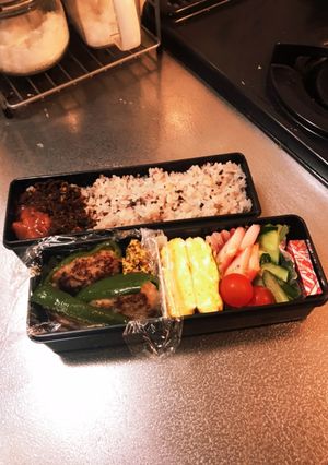 ピーマン肉詰めとサラダのお弁当-レシピのメイン写真