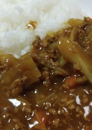 ごぼうとひき肉のカレー-レシピのメイン写真