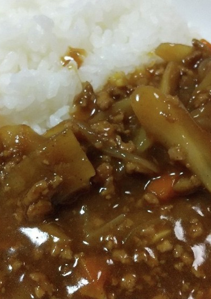 ごぼうとひき肉のカレー-レシピのメイン写真