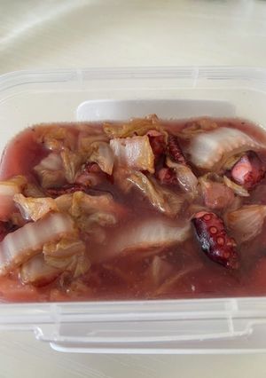 鯖の水煮缶のお汁でタコと白菜煮てみた-レシピのメイン写真