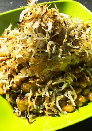 盛りすぎ見えない厚揚げ納豆じゃこおろし-レシピのメイン写真
