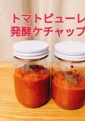 砂糖なしトマトピューレで発酵ケチャップ-レシピのメイン写真