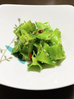 四角豆のナムル-レシピのメイン写真