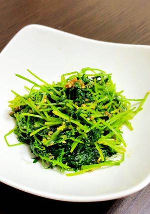 豆苗のごまあえ-レシピのメイン写真