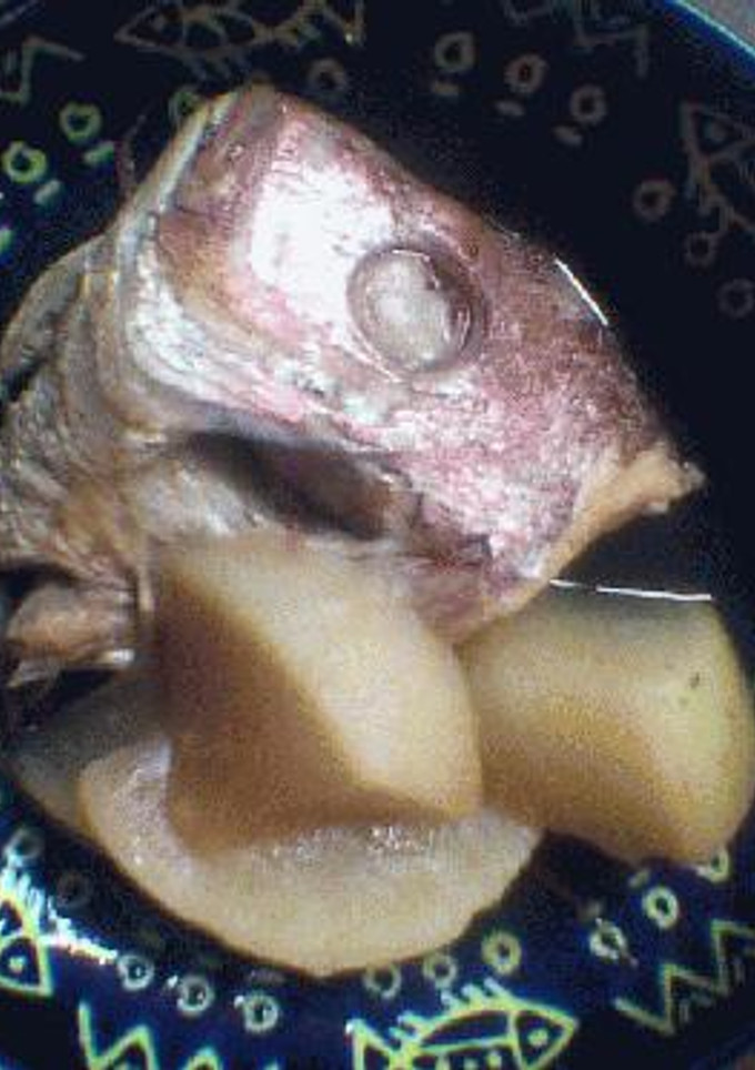 大根と魚のアラの煮物-レシピのメイン写真