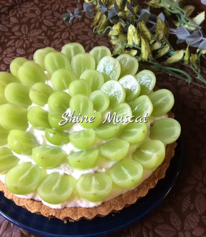 ビスケットdeシャインマスカットタルト by J♡kitchen 【クックパッド