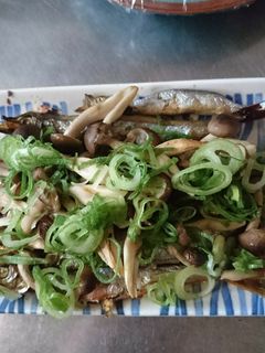 グリルで焼くだけ!子持ちししゃも〜♪♪-レシピのメイン写真