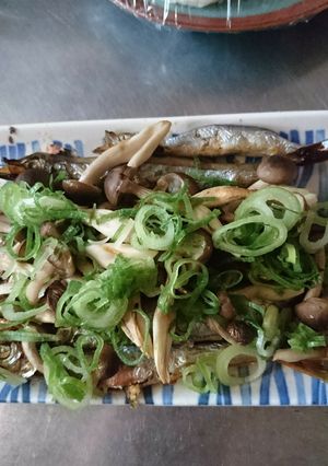 グリルで焼くだけ！子持ちししゃも〜♪♪-レシピのメイン写真