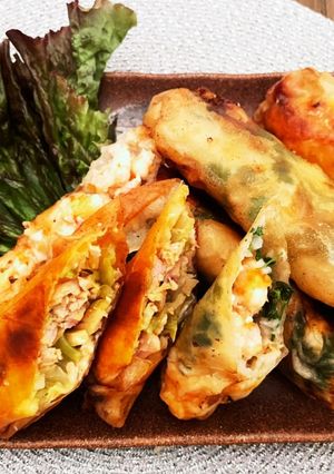 簡単すぎ！変わり春巻き-レシピのメイン写真