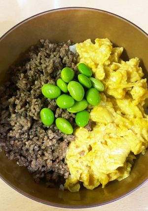 簡単!そぼろ丼-レシピのメイン写真